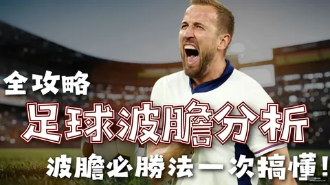 寻梦之旅星空体育平台：守望角落，寻觅家的归属